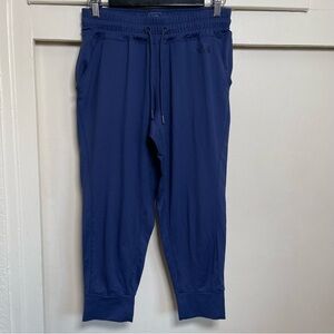 The north Face Women’s  joggers size M navy